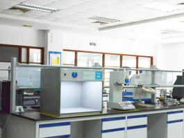 空氣呼吸器檢測(cè)系統(tǒng)測(cè)試精度影響分析